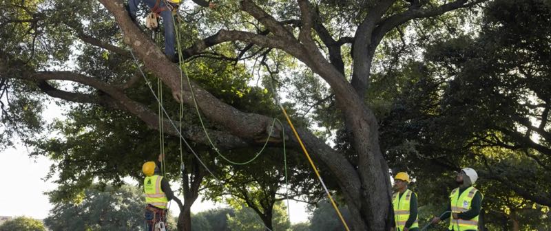 {SERVICE_NAME} project in Westlake