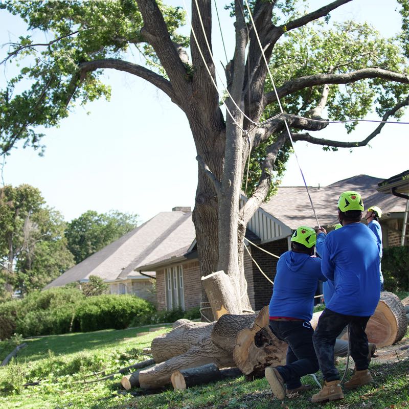 {SERVICE_NAME} project in Westlake