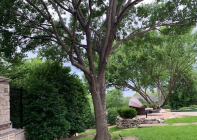 {SERVICE_NAME} project in Westlake